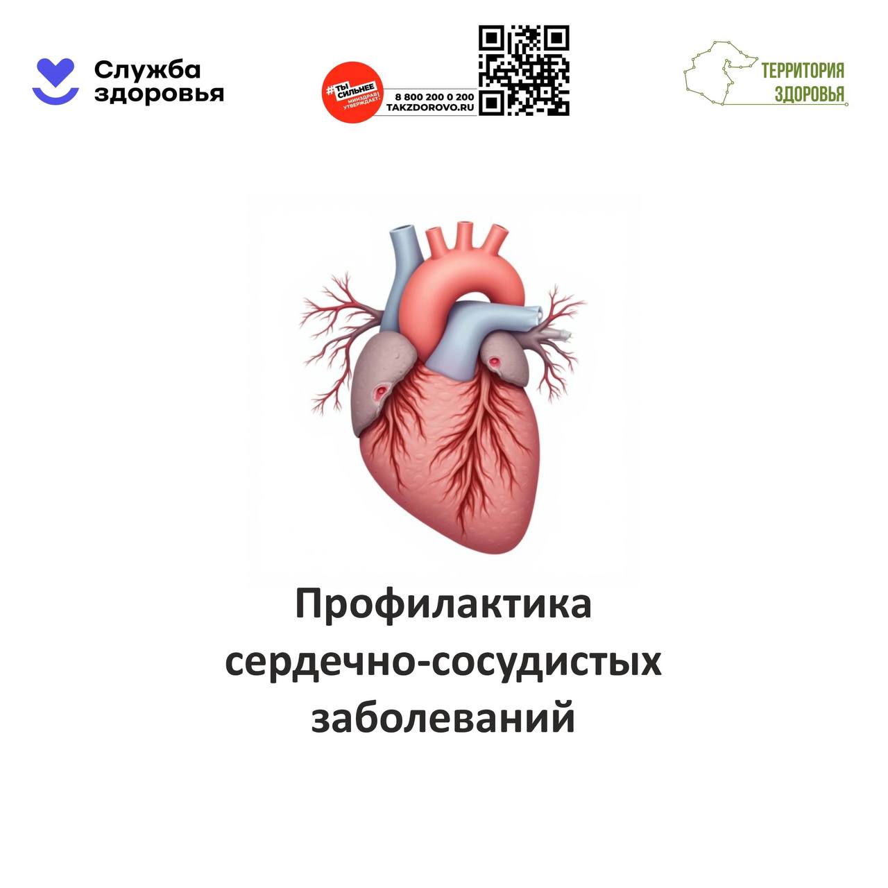 Неделя профилактики сердечно-сосудистых заболеваний (в честь Международного дня здорового сердца 