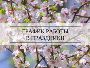 График работы областного клинического фтизиопульмонологического центра в период праздников и выходных дней