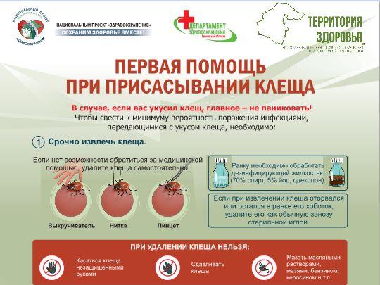 Первая помощь при присасывании клеща